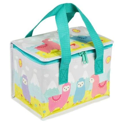 Reutilizabile izolate PP țesute Cooler Bag